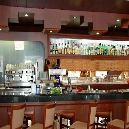 圣莫妮卡海滩酒店 萨洛